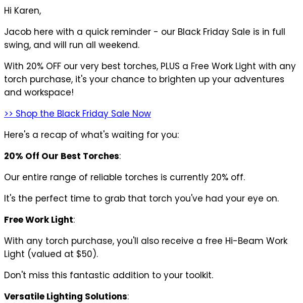 20% OFF & a FREE Work Light: Black Friday Frenzy Continues! 🚨