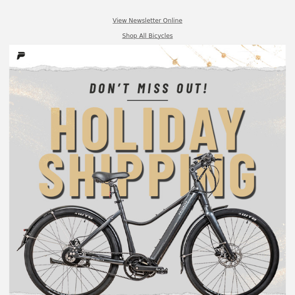 Holiday Shipping Deadline - Time is Running Out!