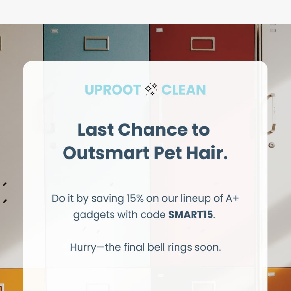 Last chance to outsmart pet hair.