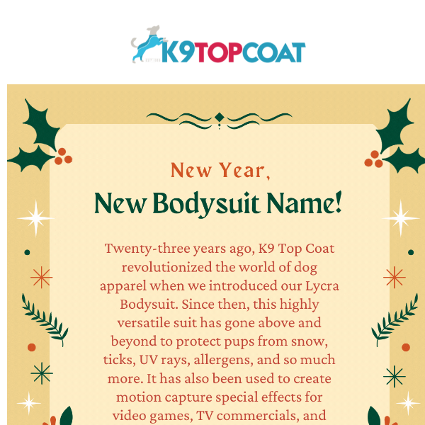 🎄Tis the Season for New Suit Names, Colors + More!