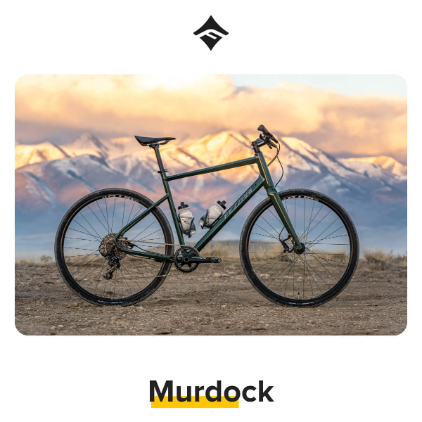 Murdock, the ultimate flat bar gravel bike - $999