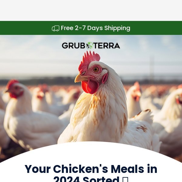 Your Chicken's Meals Sorted ✅