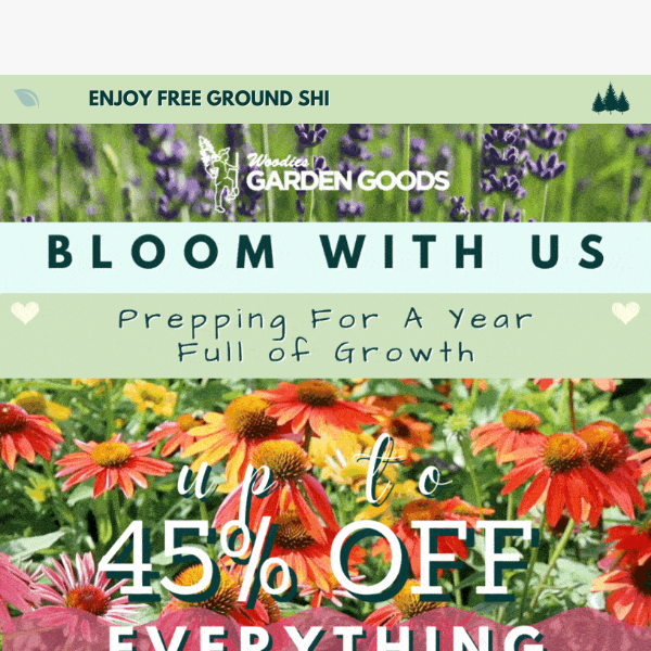 Up To 45% OFF Everything That Blooms🌸🌷🌼