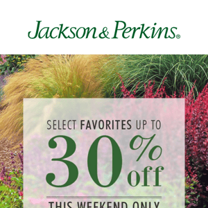 TGIF! Save up to 30% this weekend only