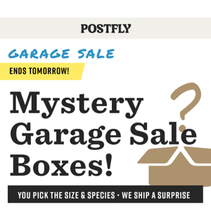 Mystery Garage Sale Boxes ARE BACK 🕵️