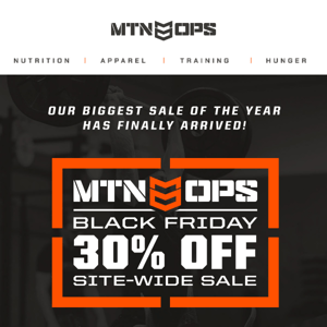 Black Friday 30% Off Sale