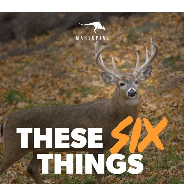 Six Things To Do DIfferent This Deer Season