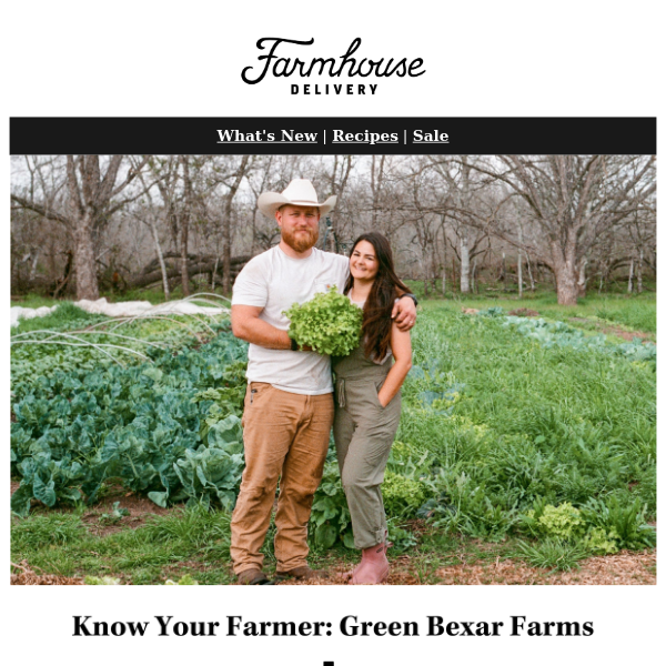 Meet Your Farmers: Green Bexar Farms 🍅🥬🥕