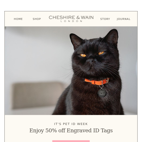 Pet ID Week ✨ Enjoy 50% off Engraved ID tags