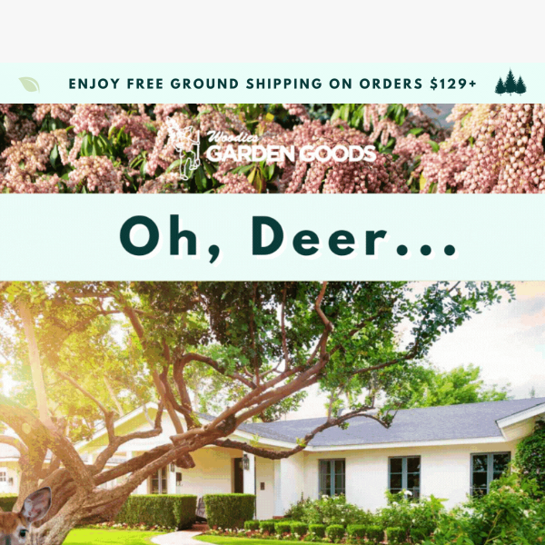 Are Deer Destroying Your Landscape?🌿🦌 We Have The Solution...