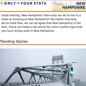 7 Surefire Signs You Have Strong Roots In New Hampshire
