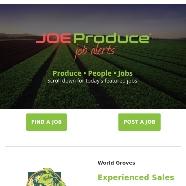 New Jobs With World Groves, Procacci Brothers, Alsop Muller Water Solutions, Grimmway Farms & Pacific Trellis Fruit