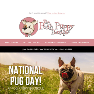 It's National Pug Day!
