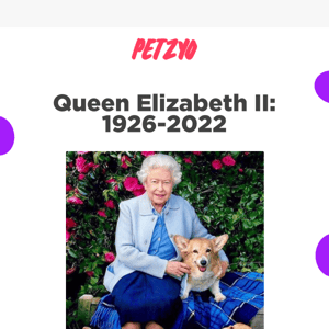 Queen Elizabeth II: Queen of the Corgis 👑