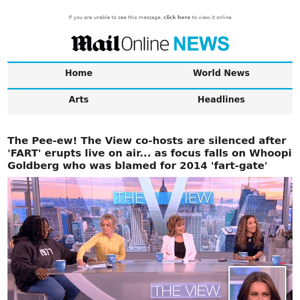 The Pee-ew! The View co-hosts are silenced after 'FART' erupts live on air... as focus falls on Whoopi Goldberg who was blamed for 2014 'fart-gate'  