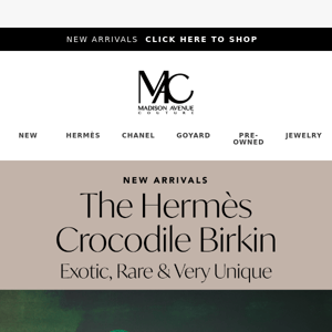 Hermès New Arrivals 🐊 Special Croc Birkins & More