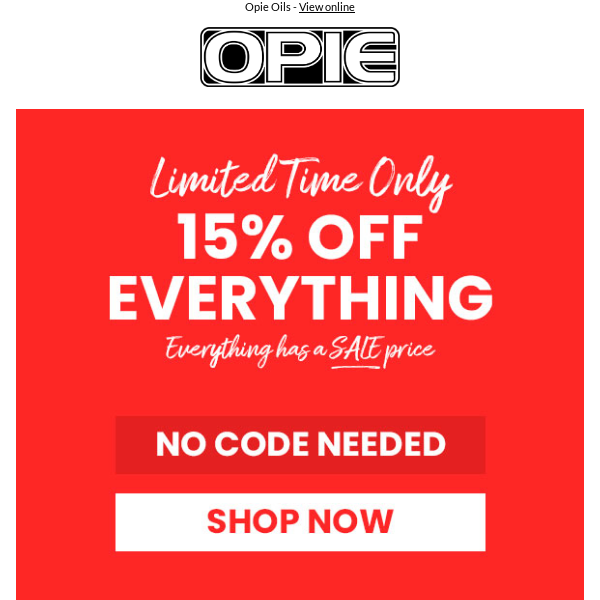 Save BIG across the entire store... No Code Needed!