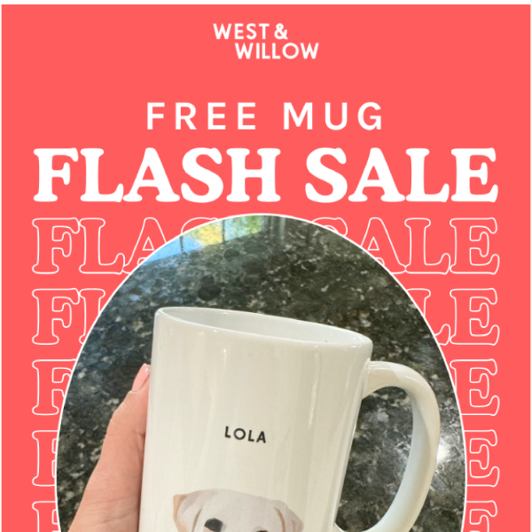 FLASH SALE: Get a FREE Mug 🆓 😻