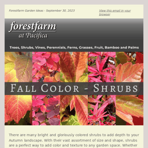 Fall Color - Shrubs 🍂