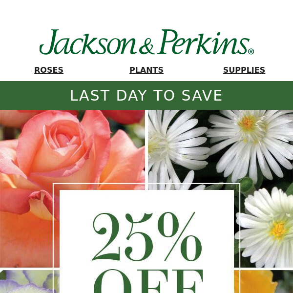 Last Day to Save 25% – February Favorites 