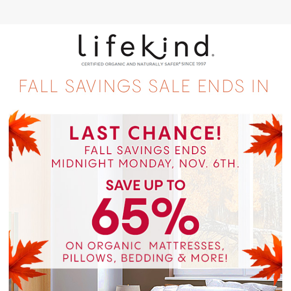 Last Chance for 65% OFF ❗❗