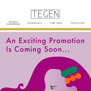 Tegen Accessories, An Exciting Promotion Is Coming Soon... 🛍️