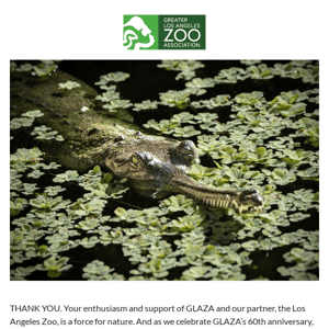 Support GLAZA and save species!