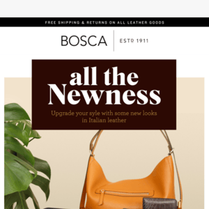 Whats new at Bosca?