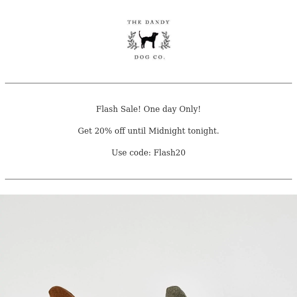 Flash Sale! ONE DAY ONLY until midnight tonight