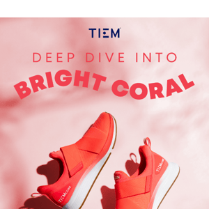 Deep Dive: Bright Coral 🌊