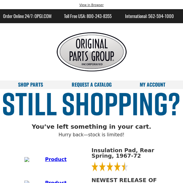 Items remain in your shopping cart