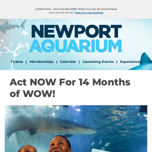 Get Your Newport Aquarium Annual Pass NOW For 14 Months Of WOW!