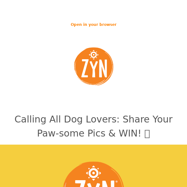 🏆 WIN a 3 month supply of ZYN + a Doggy Bundle!