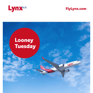 Looney tuesday ✈️