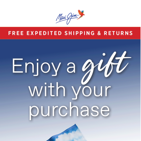 Special Holiday Offer: Gift with Purchase