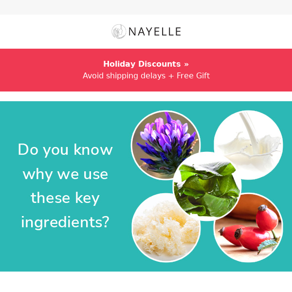 Top 5 ingredients in Nayelle skincare