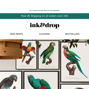Introducing 6 new Vintage Bird Prints 🦜