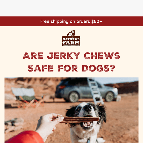 Are Jerky Chews Safe For Dogs?