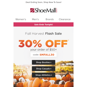 Hurry! 30% Off Flash Sale Ends Tonight!
