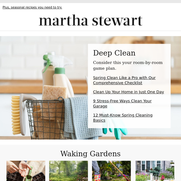 How to Make a Spring Cleaning Kit, According to Martha Stewart