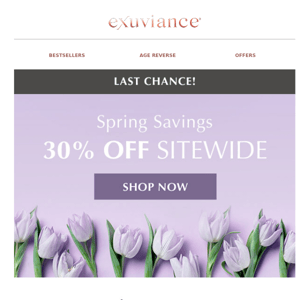 Last Chance for Spring Savings!🌷