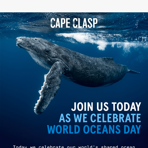 Turning Every Day into World Oceans Day: Join Us! 🌎🌊