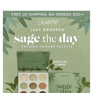 🌿NEW! Sage the Day Palette 🌿