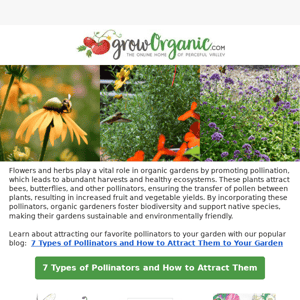 7 Types of Pollinators and How to Attract Them to Your Garden