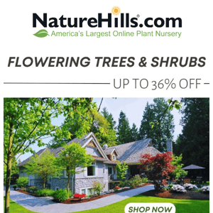 Up To 36% Off Flowering Shrubs & Trees 🌹🌸