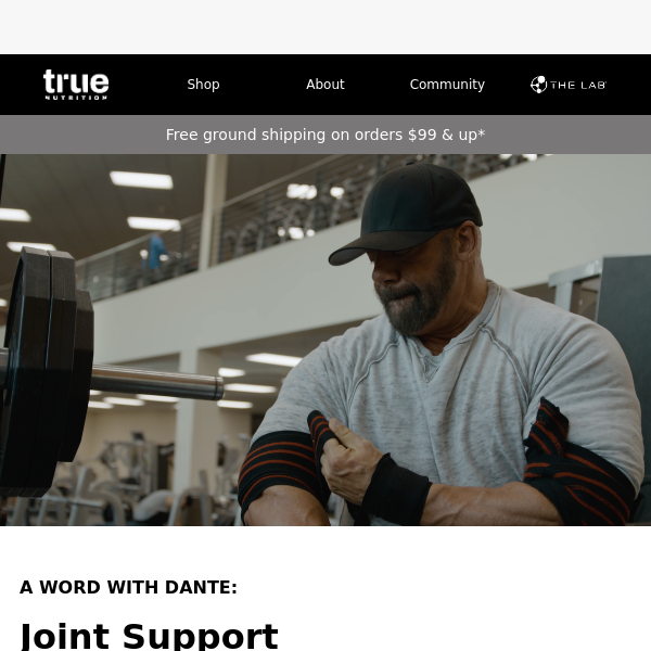 A Word With Dante: Joint Support