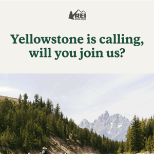 ⛰Head to Yellowstone on Your Next Adventure🐺