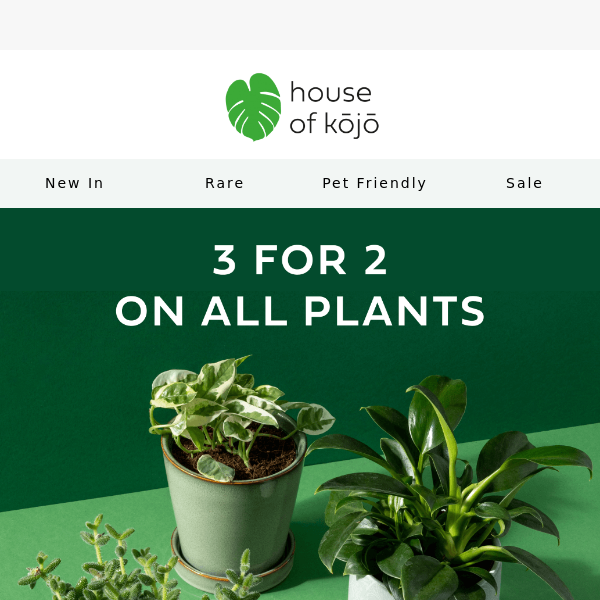 🌱 3 for 2 on all plants this payday! 🌱