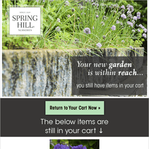 Thank you for visiting Spring Hill Nurseries