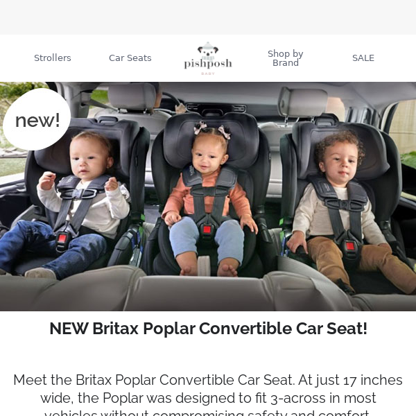 NEW! Britax Poplar convertible car seat